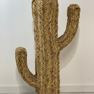cactus tressé